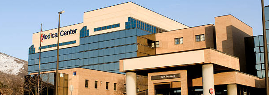 Revit Modelling Services